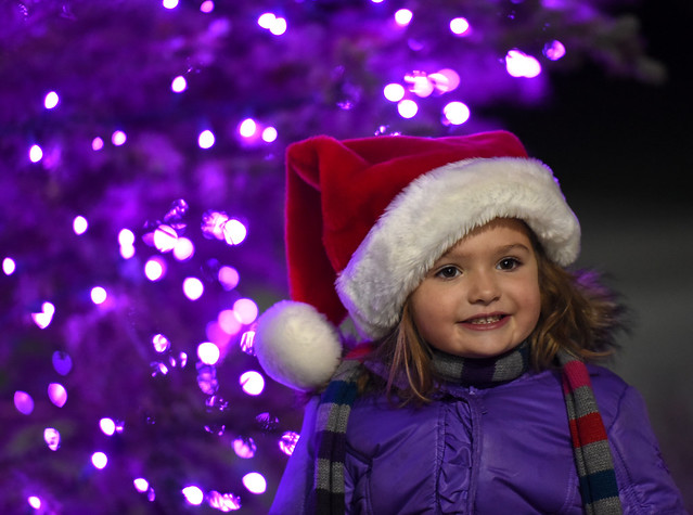 5th Annual Holiday Tree Lighting Ceremony