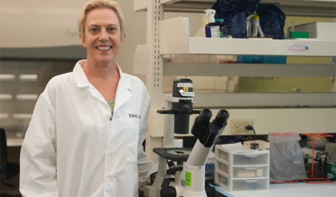Dr. Sara Heggland