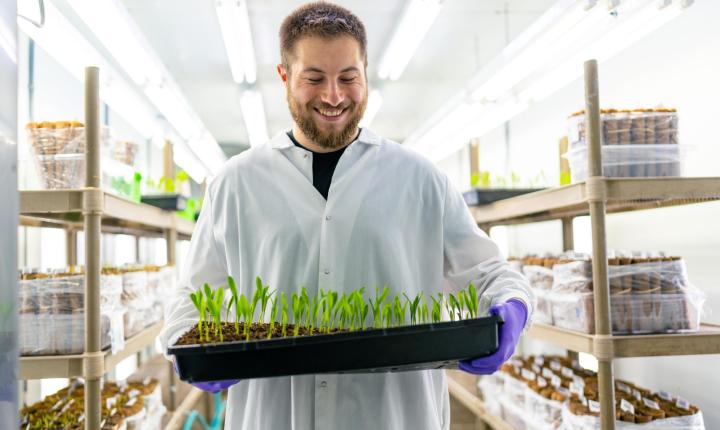timmer at crookham lab internship