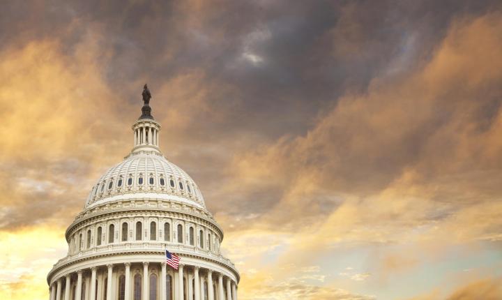 Law, Policy & The Public Sector